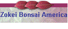 Zokei Bonsai America